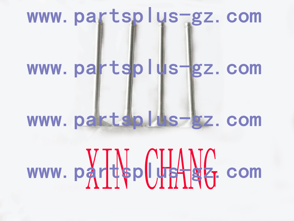 进排气门12