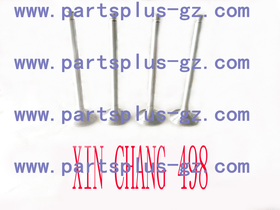 进排气门13